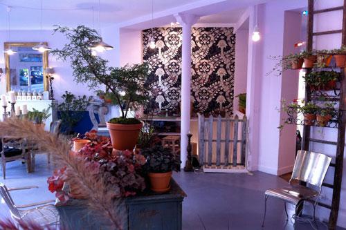 art-mauvaises-graines-plants art-mauvaises-graines-plants