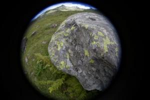 Essai Lensbaby 3/5 : toutes les optiquestest lensbaby 3 Essai Lensbaby 3/5 : toutes les optiquestest lensbaby 3