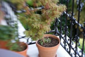 Essai Lensbaby 2/5 : les montures Muse, Composer et Control Freaktest lensbaby 2 Essai Lensbaby 2/5 : les montures Muse, Composer et Control Freaktest lensbaby 2