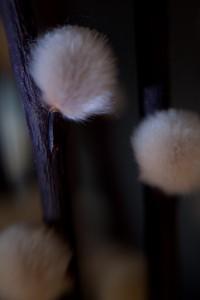 Essai Lensbaby 2/5 : les montures Muse, Composer et Control Freaktest lensbaby 2 Essai Lensbaby 2/5 : les montures Muse, Composer et Control Freaktest lensbaby 2