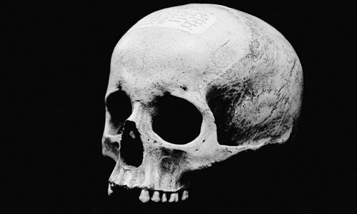 A un crâne qui n’avait plus sa mâchoire inférieure (Jules Laforgue)