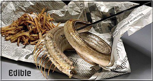 Et oui ça se mange ... Et oui ça se mange ...