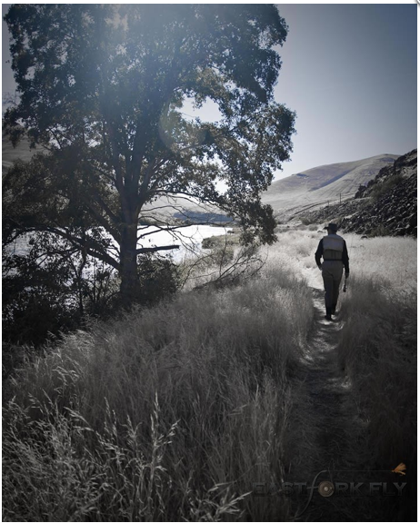 Capture d’écran 2010-11-03 à 12.24.20 RICH SCHAAFF