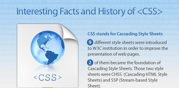 Css 1 image