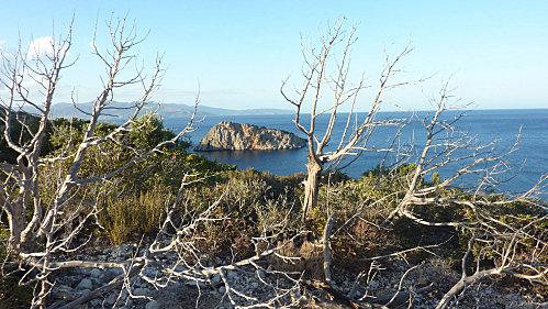 Sur le retour d'agios arbre