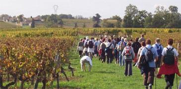 Idée week-end : à la découverte du terroir Idée week-end : à la découverte du terroir