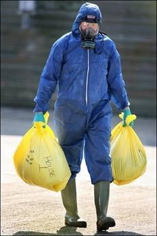 Grande Bretagne: analyse H5N1 en cours pour 9 autres cygnes morts dans le Dorset. Crédit AFP.