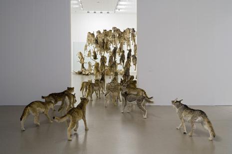 Cai Guo-Qiang