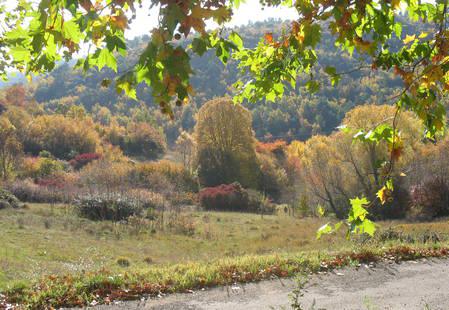 Automne en couleurs photo-010.1288619386.jpg