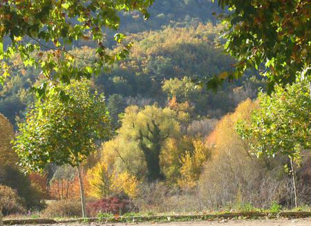 Automne en couleurs photo-008.1288619550.jpg