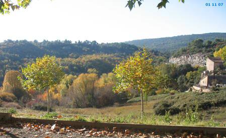 Automne en couleurs photo-006.1288623248.jpg