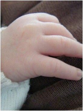 CALINS ...
Bien au Chaud dans ma 'bulle' depuis 9 moisCâl... DSCF4918B