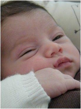 CALINS ...
Bien au Chaud dans ma 'bulle' depuis 9 moisCâl... DSCF4925b