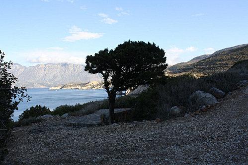 Istron le rocher arbre sombre