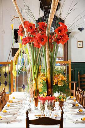 Hippaestrum-03_272 Hippaestrum-03_272