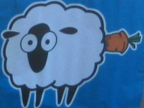 mouton.JPG, nov. 2010 mouton.JPG