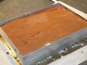 Le Caprice (entremets au chocolat) IMG_6474