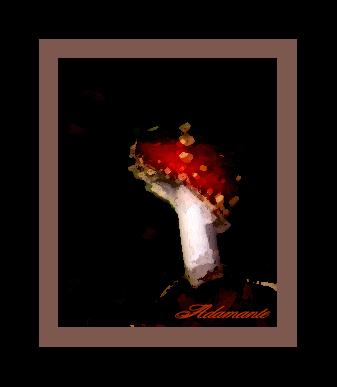 Chefs d’œuvre d’automne Champignon copie