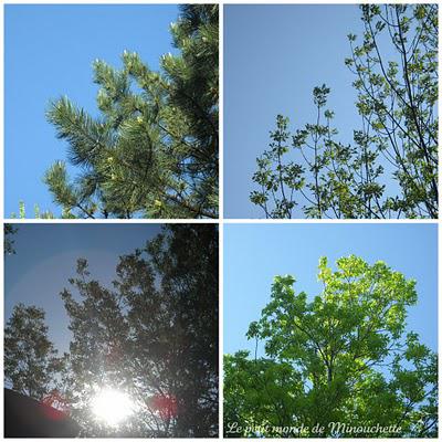 Awesome things.. notre compilation / .4. Awesome things.. notre compilation / .4.