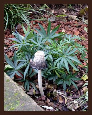 Il y a quelques jours, le mélange des couleurs associé à ... Il y a quelques jours, le mélange des couleurs associé à ...