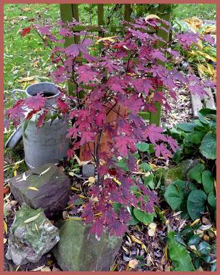 Il y a quelques jours, le mélange des couleurs associé à ... Il y a quelques jours, le mélange des couleurs associé à ...