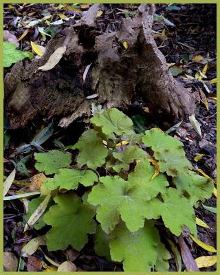 Il y a quelques jours, le mélange des couleurs associé à ... Il y a quelques jours, le mélange des couleurs associé à ...