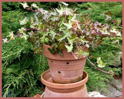 Il y a quelques jours, le mélange des couleurs associé à ... Il y a quelques jours, le mélange des couleurs associé à ...