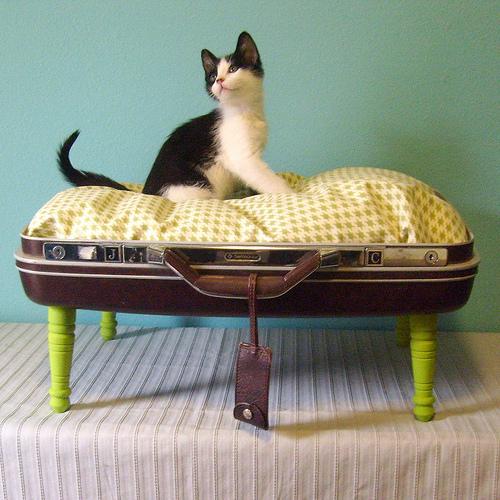 suitcase-petbed diy