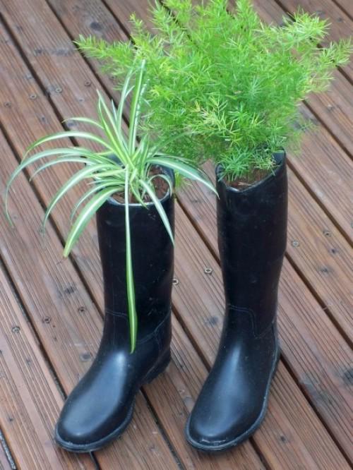 noid-bottes_de_plantes I believe I can DIY