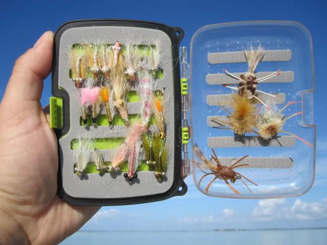 IMG_4011 MATTHEW HRANEK