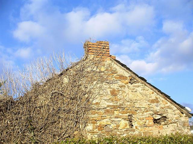 le thoreau par l'écorne le thoreau par l'écorne