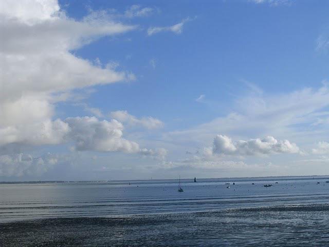 le thoreau par l'écorne le thoreau par l'écorne