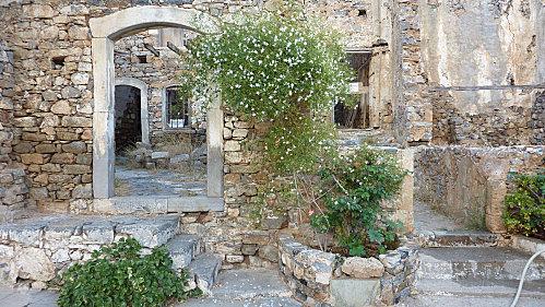 Spinalonga Fleurs