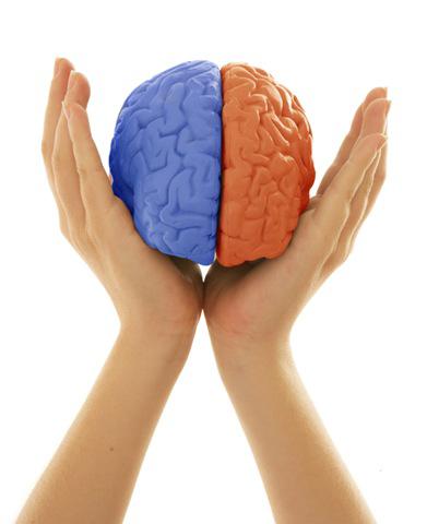 cerveau-gauche-droite Hommes-femmes, des cerveaux bien différents
