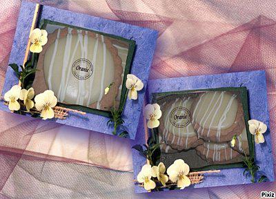 INDEX DE GATEAUX BISCUIT ORANGE-copie-1