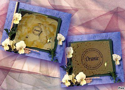 INDEX DE GATEAUX BEGHRIR-ORANGE.jpg