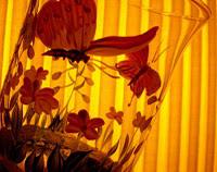 VELOUTé de CèPES au FOIE GRAS et SUMMERTIME de l'HIVER pour MULOT VELOUTé de CèPES au FOIE GRAS et SUMMERTIME de l'HIVER pour MULOT