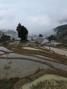 Yunnan Yunnan – Yuanyang dans les nuages