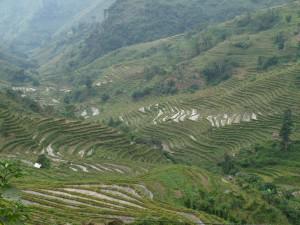 Yunnan Yunnan – Yuanyang dans les nuages