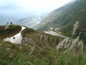 Yunnan Yunnan – Yuanyang dans les nuages