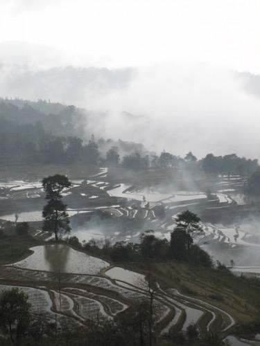 Yunnan Yunnan – Yuanyang dans les nuages