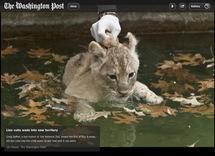 Le Washington Post GRATUIT sur l'iPad... Le Washington Post GRATUIT sur l'iPad...