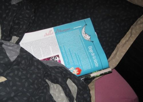 Eloge de la sieste (chronique parue dimanche dans le 7mag) novembre 10 003.jpg