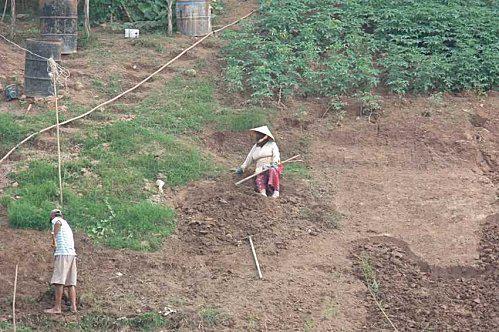 6 novembre 2010: Thaïlande. Udonthani. Sortie Mékong. DSCF6594