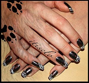 Zèbrure zebre1-small.jpg