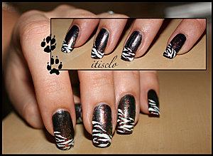 Zèbrure zebre2-small.jpg