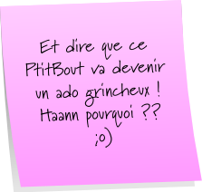 Un peu de Douceur dans ce monde de Brutes ! POST-IT-PEINTURE.png
