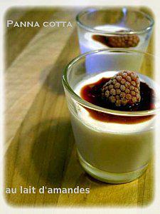 Panna cotta au lait d'amandes et au coulis de fruits rouges panna-cotta.jpg