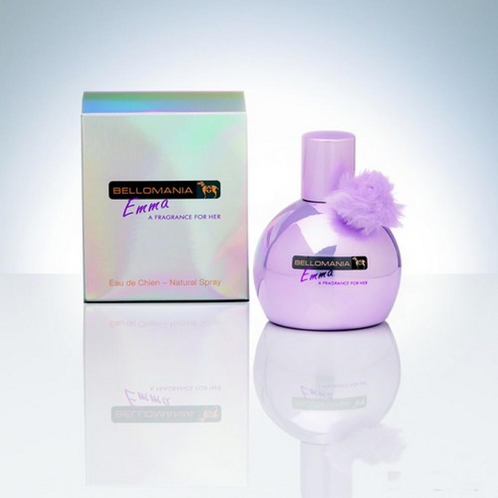 Bientôt les fêtes! Bientôt les fêtes!