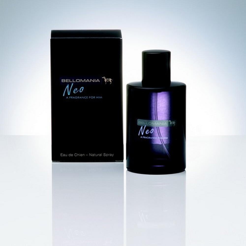 Bientôt les fêtes! Bientôt les fêtes!